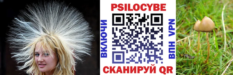 Купить где  Новый Оскол  Галлюциногенные грибы прущие грибы 